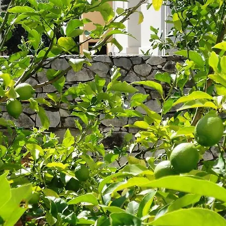 Luxurious Djuran Lägenhet *