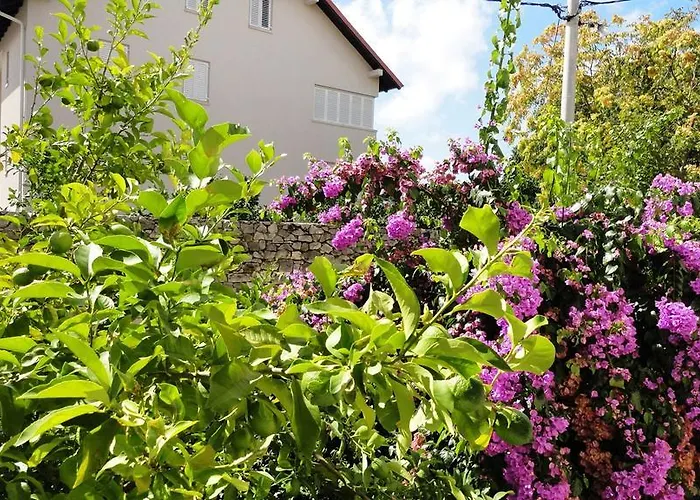 Apartman Luxurious Djuran *